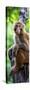 China 10MKm2 Collection - Monkey Portrait-Philippe Hugonnard-Stretched Canvas