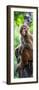 China 10MKm2 Collection - Monkey Portrait-Philippe Hugonnard-Framed Premium Photographic Print