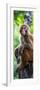 China 10MKm2 Collection - Monkey Portrait-Philippe Hugonnard-Framed Photographic Print