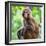 China 10MKm2 Collection - Monkey Portrait-Philippe Hugonnard-Framed Photographic Print