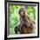 China 10MKm2 Collection - Monkey Portrait-Philippe Hugonnard-Framed Photographic Print