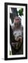 China 10MKm2 Collection - Monkey Portrait-Philippe Hugonnard-Framed Photographic Print