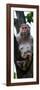 China 10MKm2 Collection - Monkey Portrait-Philippe Hugonnard-Framed Photographic Print