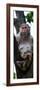 China 10MKm2 Collection - Monkey Portrait-Philippe Hugonnard-Framed Photographic Print