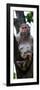 China 10MKm2 Collection - Monkey Portrait-Philippe Hugonnard-Framed Photographic Print