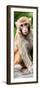 China 10MKm2 Collection - Monkey Portrait-Philippe Hugonnard-Framed Photographic Print