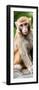 China 10MKm2 Collection - Monkey Portrait-Philippe Hugonnard-Framed Photographic Print