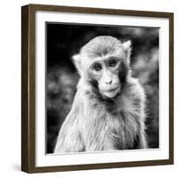 China 10MKm2 Collection - Monkey Portrait-Philippe Hugonnard-Framed Photographic Print