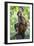 China 10MKm2 Collection - Monkey Portrait-Philippe Hugonnard-Framed Photographic Print