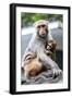 China 10MKm2 Collection - Monkeys Mother and Son-Philippe Hugonnard-Framed Photographic Print