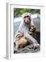 China 10MKm2 Collection - Monkeys Mother and Son-Philippe Hugonnard-Framed Photographic Print