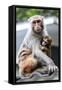 China 10MKm2 Collection - Monkeys Mother and Son-Philippe Hugonnard-Framed Stretched Canvas