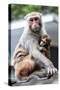 China 10MKm2 Collection - Monkeys Mother and Son-Philippe Hugonnard-Stretched Canvas