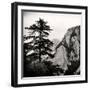 China 10MKm2 Collection - Mount Huashan - Shaanxi-Philippe Hugonnard-Framed Photographic Print