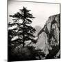 China 10MKm2 Collection - Mount Huashan - Shaanxi-Philippe Hugonnard-Mounted Photographic Print