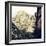 China 10MKm2 Collection - Mount Huashan - Shaanxi-Philippe Hugonnard-Framed Photographic Print