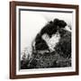 China 10MKm2 Collection - Mount Huashan - Shaanxi-Philippe Hugonnard-Framed Premium Photographic Print