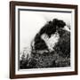 China 10MKm2 Collection - Mount Huashan - Shaanxi-Philippe Hugonnard-Framed Photographic Print