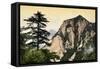 China 10MKm2 Collection - Mount Huashan - Shaanxi-Philippe Hugonnard-Framed Stretched Canvas