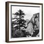 China 10MKm2 Collection - Mount Huashan - Shaanxi-Philippe Hugonnard-Framed Photographic Print