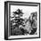 China 10MKm2 Collection - Mount Huashan - Shaanxi-Philippe Hugonnard-Framed Photographic Print