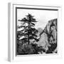 China 10MKm2 Collection - Mount Huashan - Shaanxi-Philippe Hugonnard-Framed Photographic Print