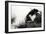 China 10MKm2 Collection - Mount Huashan - Shaanxi-Philippe Hugonnard-Framed Photographic Print