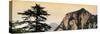 China 10MKm2 Collection - Mount Huashan - Shaanxi-Philippe Hugonnard-Stretched Canvas