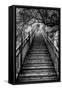 China 10MKm2 Collection - Mountain Woooden Staircase-Philippe Hugonnard-Framed Stretched Canvas