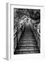 China 10MKm2 Collection - Mountain Woooden Staircase-Philippe Hugonnard-Framed Photographic Print