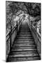 China 10MKm2 Collection - Mountain Woooden Staircase-Philippe Hugonnard-Mounted Photographic Print