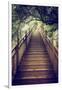 China 10MKm2 Collection - Mountain Woooden Staircase-Philippe Hugonnard-Framed Photographic Print