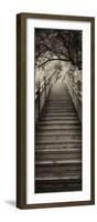 China 10MKm2 Collection - Mountain Woooden Staircase-Philippe Hugonnard-Framed Photographic Print