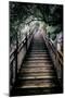 China 10MKm2 Collection - Mountain Woooden Staircase-Philippe Hugonnard-Mounted Photographic Print