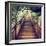 China 10MKm2 Collection - Mountain Woooden Staircase-Philippe Hugonnard-Framed Photographic Print