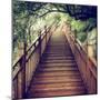 China 10MKm2 Collection - Mountain Woooden Staircase-Philippe Hugonnard-Mounted Photographic Print