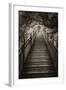 China 10MKm2 Collection - Mountain Woooden Staircase-Philippe Hugonnard-Framed Photographic Print