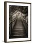 China 10MKm2 Collection - Mountain Woooden Staircase-Philippe Hugonnard-Framed Photographic Print