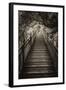 China 10MKm2 Collection - Mountain Woooden Staircase-Philippe Hugonnard-Framed Photographic Print