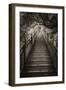 China 10MKm2 Collection - Mountain Woooden Staircase-Philippe Hugonnard-Framed Photographic Print