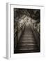 China 10MKm2 Collection - Mountain Woooden Staircase-Philippe Hugonnard-Framed Photographic Print