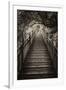 China 10MKm2 Collection - Mountain Woooden Staircase-Philippe Hugonnard-Framed Premium Photographic Print