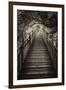 China 10MKm2 Collection - Mountain Woooden Staircase-Philippe Hugonnard-Framed Premium Photographic Print