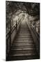 China 10MKm2 Collection - Mountain Woooden Staircase-Philippe Hugonnard-Mounted Premium Photographic Print