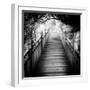 China 10MKm2 Collection - Mountain Woooden Staircase-Philippe Hugonnard-Framed Photographic Print