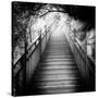 China 10MKm2 Collection - Mountain Woooden Staircase-Philippe Hugonnard-Stretched Canvas