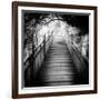 China 10MKm2 Collection - Mountain Woooden Staircase-Philippe Hugonnard-Framed Photographic Print