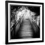 China 10MKm2 Collection - Mountain Woooden Staircase-Philippe Hugonnard-Framed Photographic Print