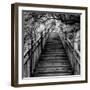 China 10MKm2 Collection - Mountain Woooden Staircase-Philippe Hugonnard-Framed Photographic Print