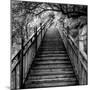 China 10MKm2 Collection - Mountain Woooden Staircase-Philippe Hugonnard-Mounted Photographic Print